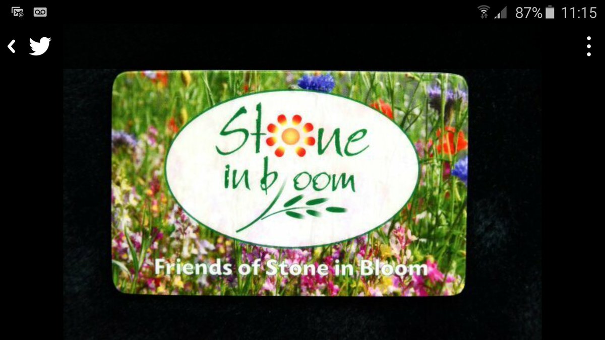 Stone in Bloom meeting 10 30 Crown St car park Clean for the Queen snowing on &amp; off We're a tough lot (I hope)