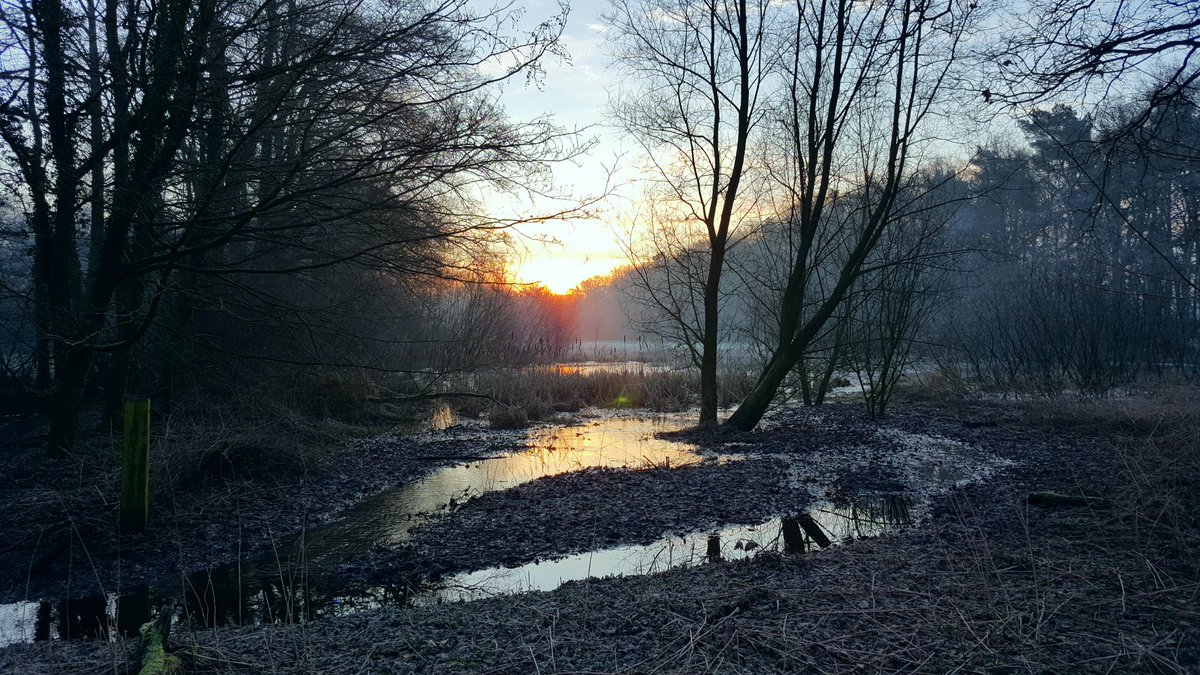 HansterHeijne's tweet photo. #Zondagochtendwandeling over landgoederen #Stroink #Brunink en #Smalenbroek bij #Enschede. https://t.co/40BxwUZu9W
