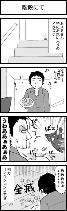 うちのおスミさん８ (猫アンソロジー掲載版) 