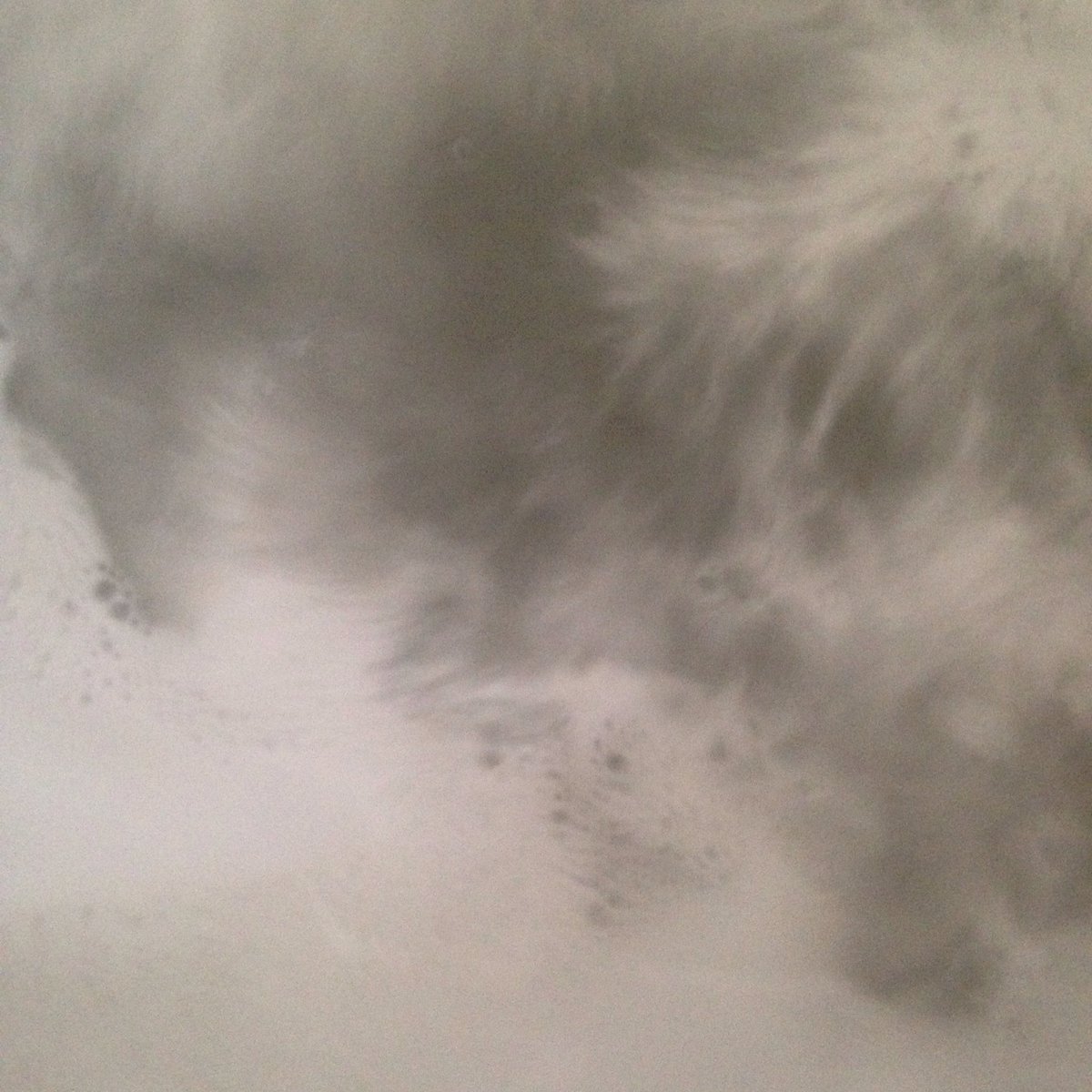 BevanStead's tweet photo. Heat heals π―% #radox #musclechill #fearrosewall #pictureperfect #snaps https://t.co/UTC7CdbnNz