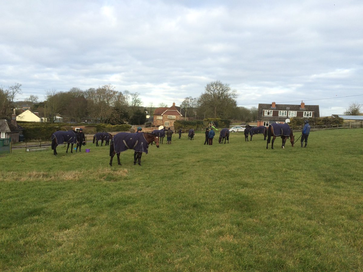 Very successful morning <a href="/TheJockeyClub/">The Jockey Club</a> estates in lambourn #excitinghorses #excitingtimes #nervoustrainer #9daystogo