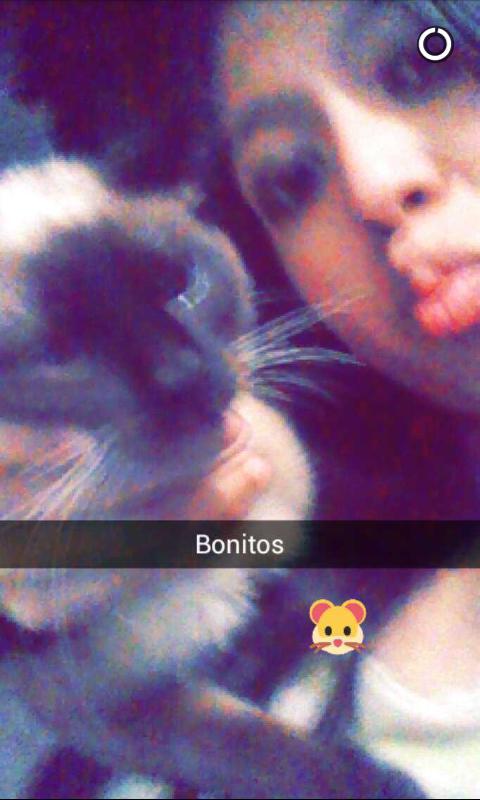 Johana_nayelixD's tweet photo. #Snapcat jaja https://t.co/RNFFLyOHfr