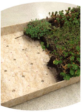 #Montoitvert, un toit végétal durable pulse.edf.com/fr/montoitvert… #EDFPulse #Habitat #DD #toiture #biodiversite