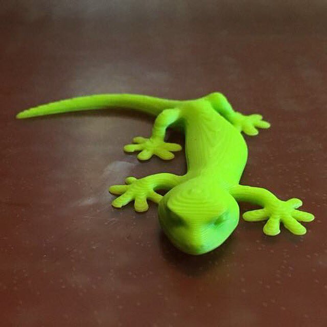 Techfull_Wise's tweet photo. A customer from #Beijing sent us a photo of his FIRST PRINT from the #Taz5 #3D printer straight out of the box! https://t.co/4n7X4lMvoP