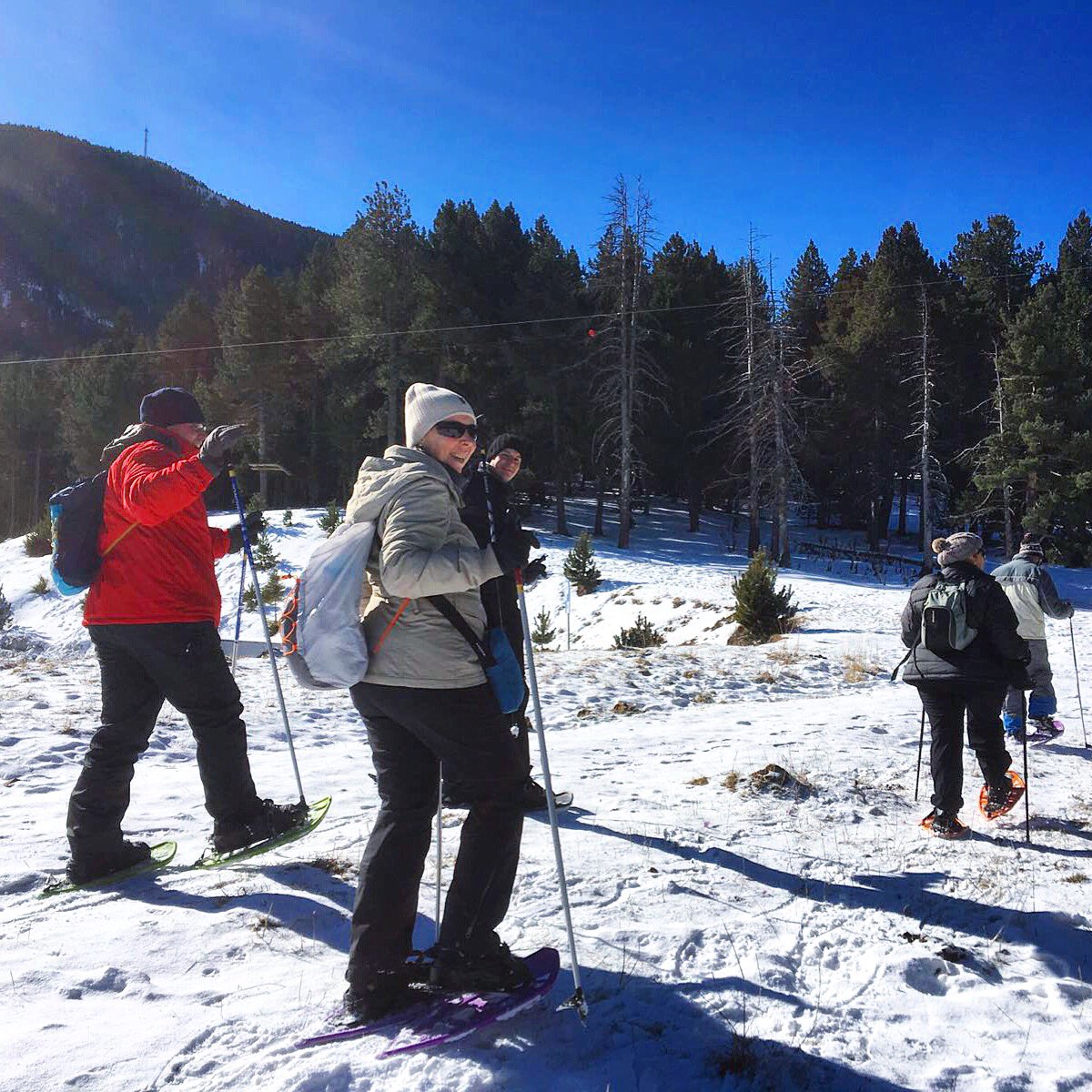 SAMSportsEvents's tweet photo. Un plan de domingo diferente! Os proponemos un paseo con #raquetas en @lamolinaski. Plan divertido y diferente! https://t.co/EM319yhovI