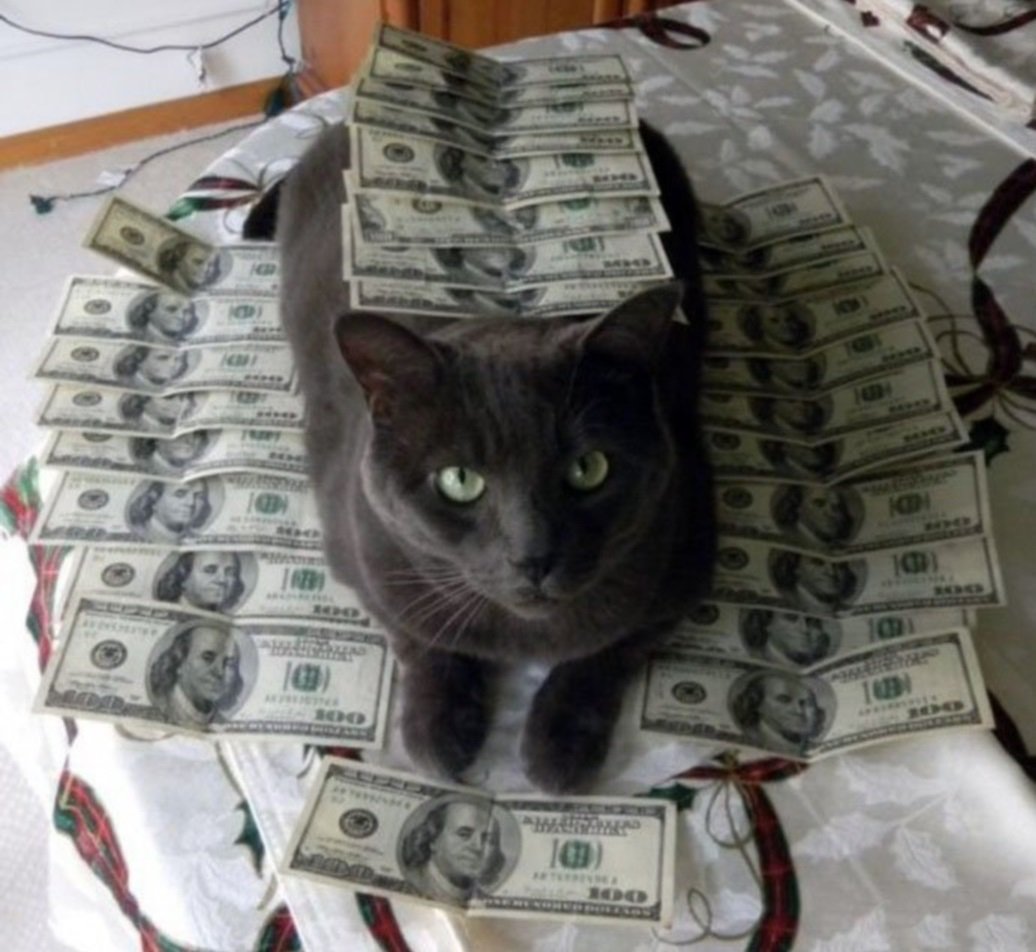 Коты с деньгами
