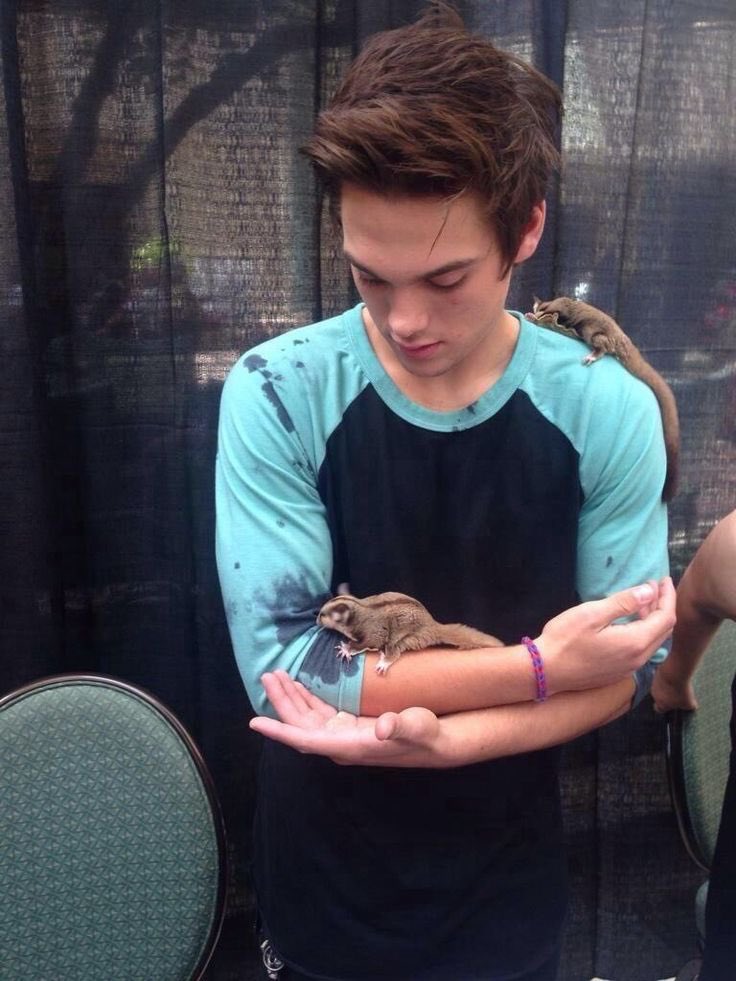 HEYSPRAYBERRY's tweet photo. ur cute https://t.co/tOS0K5VjtH