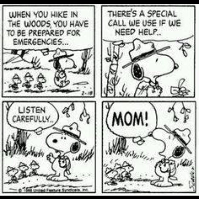 89thBremore's tweet image. Happy #MothersDay to all the Mums of #89thBremore @ScoutingIreland @BalbrigganETPA