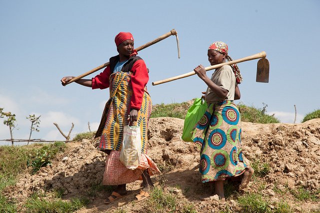 WorldBankGroup's tweet photo. Improving #data quality is critical to understanding the livelihoods of the rural poor: https://t.co/yYr5WTa4QH https://t.co/legyCdPQb4