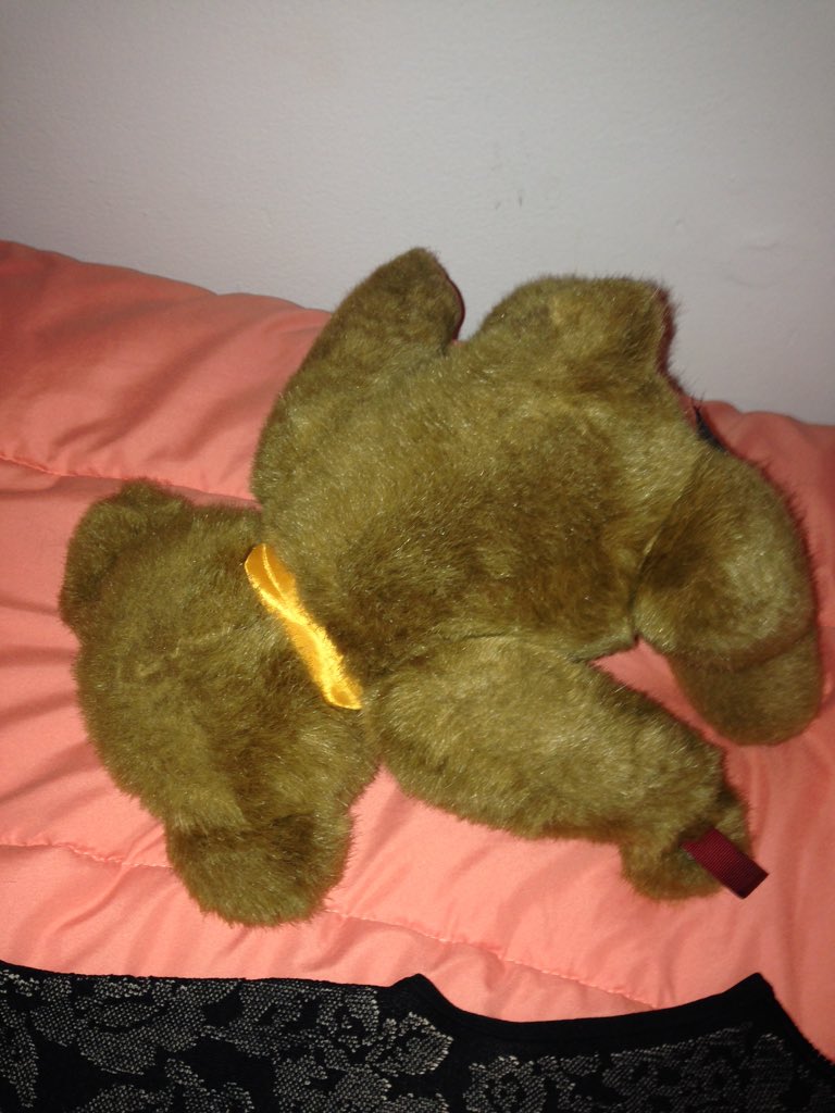 Sweetdivine81's tweet photo. #aboutlastnight Teddy is #BoozedOut #hewokeuplikethis https://t.co/C92vPwgDEd