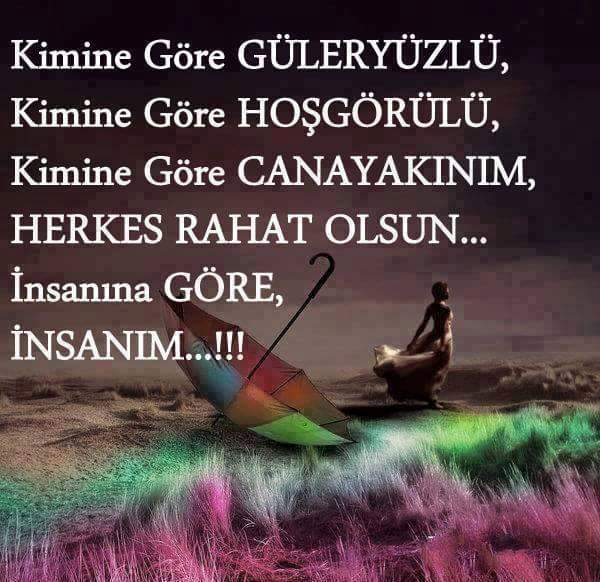 haydin tweet media