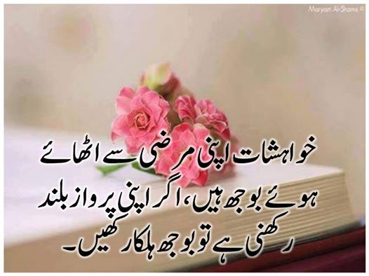Malik_____Ilyas's tweet photo. #Desires are burden on us Due to our own will, if want to #fly_higher, then take meager burden... https://t.co/iGWl2butE4