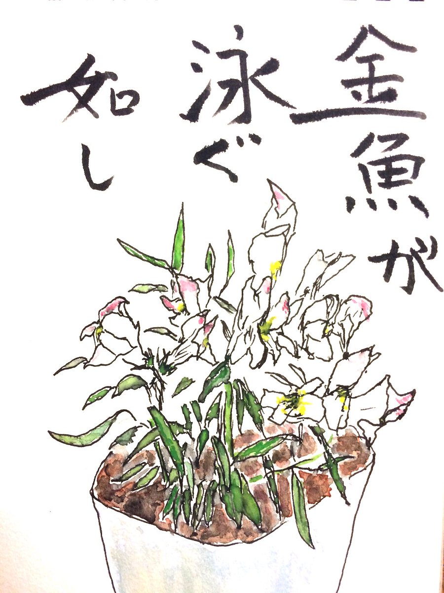 てがみ倶楽部 みんなの絵手紙交流ひろば En Twitter 金魚が泳ぐ如し 絵手紙 Etegami 金魚草 金魚草を描きました 本当に 金魚が泳いでるみたいでかわいい花ですね 金魚が泳ぐ如く が正しかったかもしれません T Co Boly6