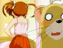 Kanra 魔法少女リリカルなのは ユーノくんは珍獣 人間なのにフェレット姿って犯罪の匂いがする 2枚目の写真にある動物が T Co Czdvdsbppe Twitter