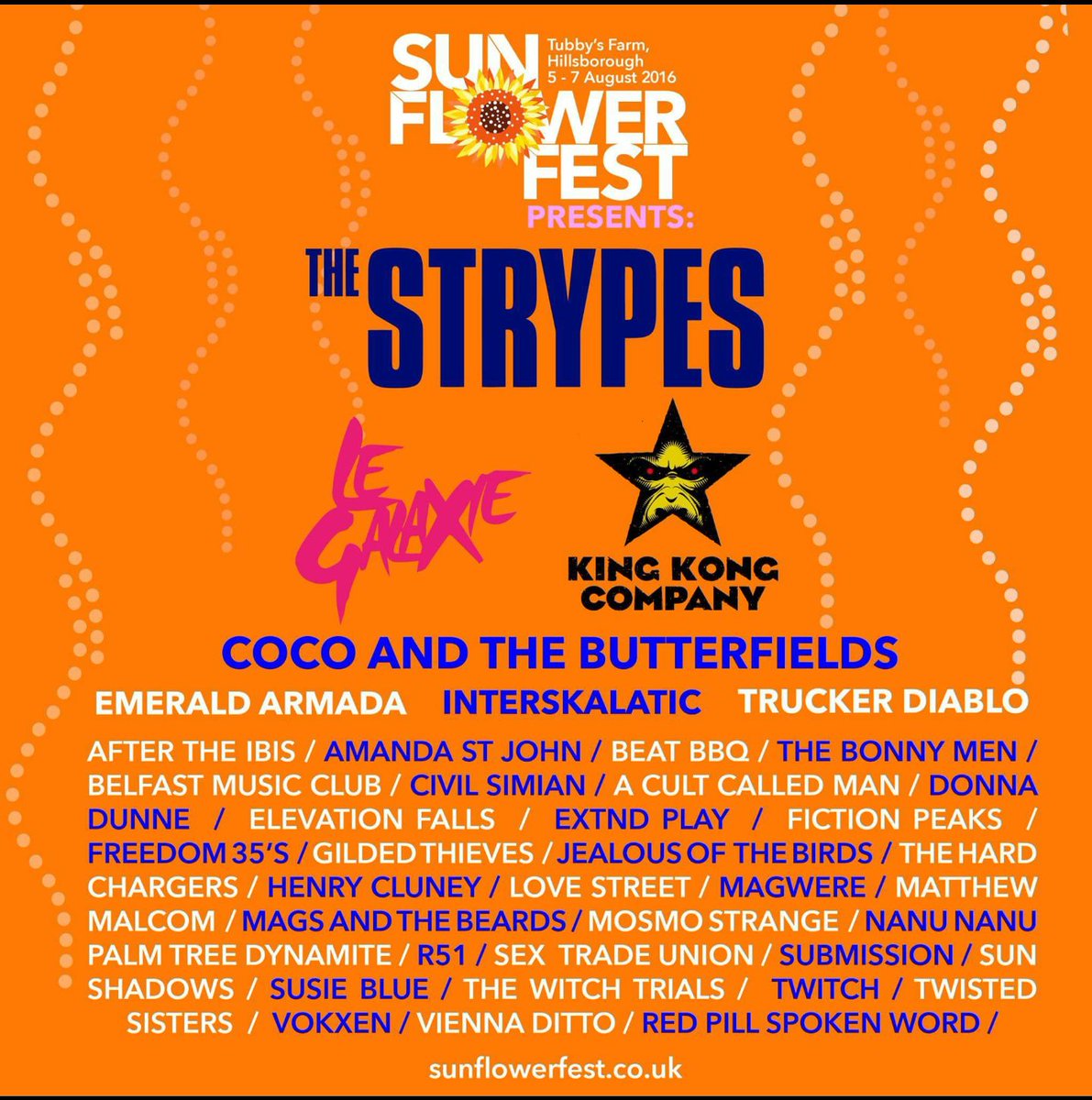 Thesunshadows's tweet photo. We're privileged and honoured to announce we'll be playing at this year's @sunflower_fest ..more details to follow 🌻 https://t.co/pWFQa7URSh