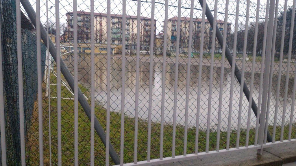 Frogs Rulez tweet media