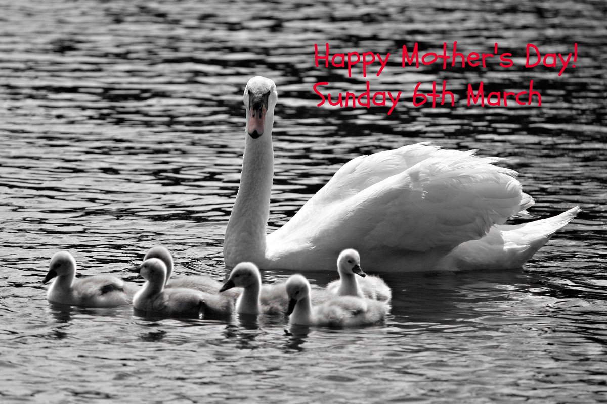 #MothersDay #orienteering #sport #uk