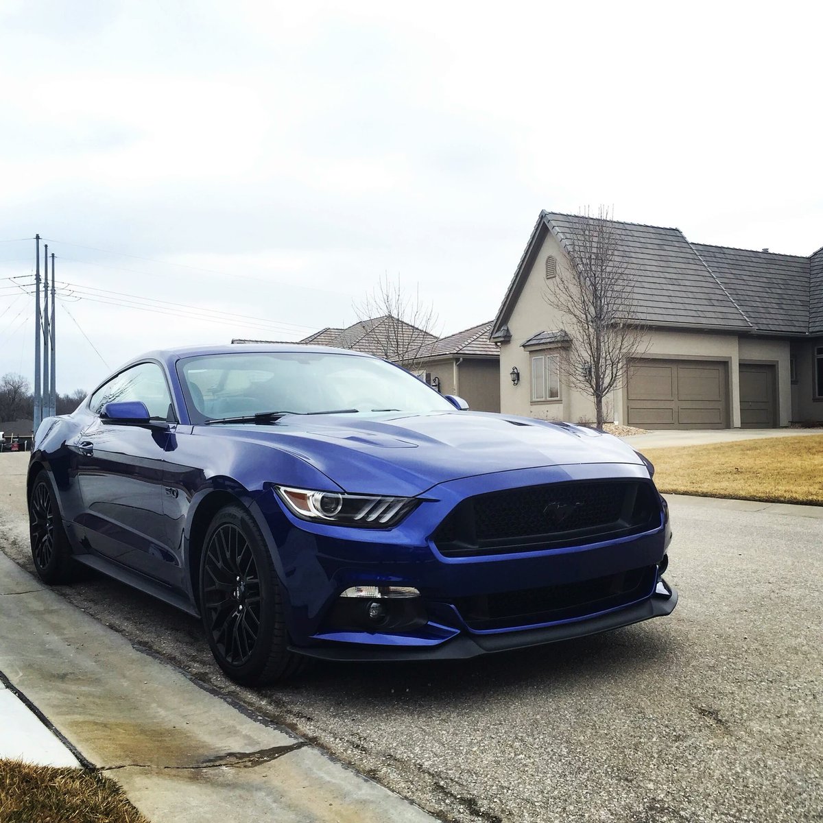 TheGoldPony21's tweet photo. #FollowerRides... @McFarlandRoss https://t.co/RVYeps1Zrj