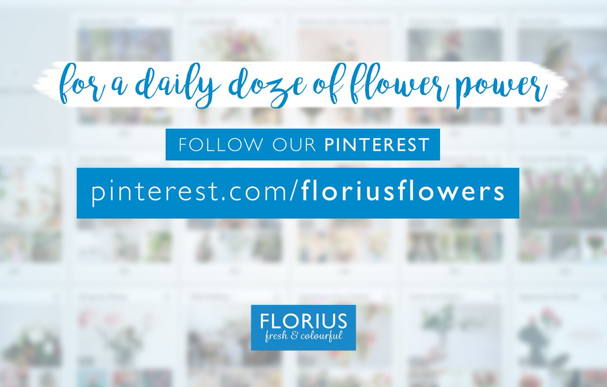For a daily doze of flower power - follow our pintrest - pinterest.com/floriusflowers