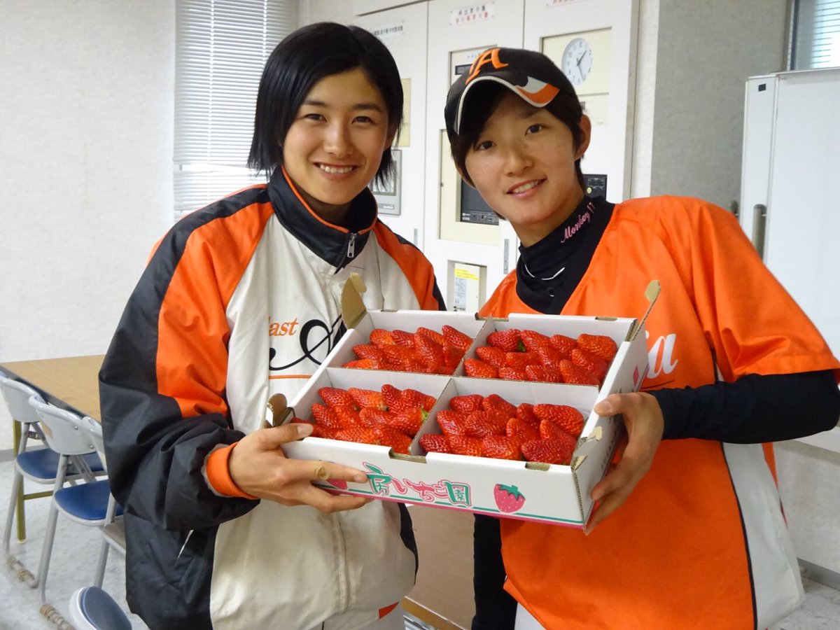 minesno6's tweet photo. 昨日は普段は入れないところから、良い写真が沢山撮れました(*^^*)
いつも以上に魅力を伝えられたかな？
#埼玉アストライア #女子プロ野球 #アサヒトラスト #川端友紀 #加藤優 #三浦由美子 #房の駅農場 #イチゴ https://t.co/PZ9a0DFMCs