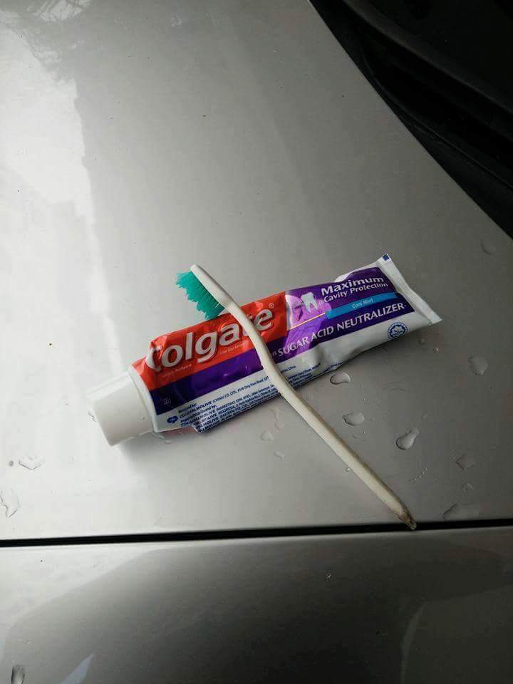 nakbebel's tweet photo. Cara mudah hilangkan kesan kuning lampu kereta untuk kembali berkilat. Dengan colgate je. https://t.co/mygQsDjY8n