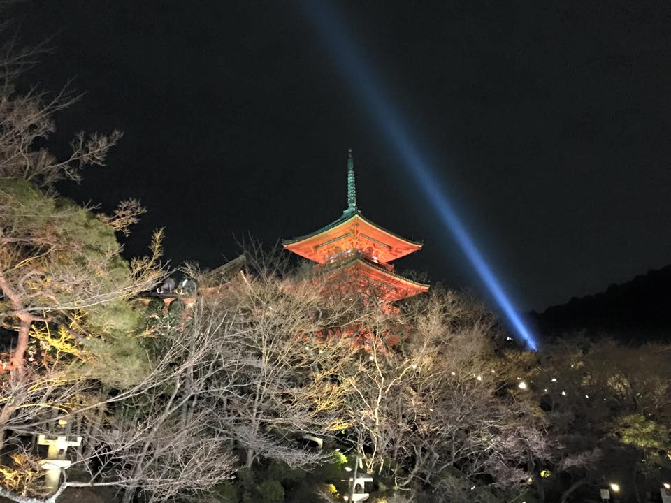 Visit Kyoto tweet media