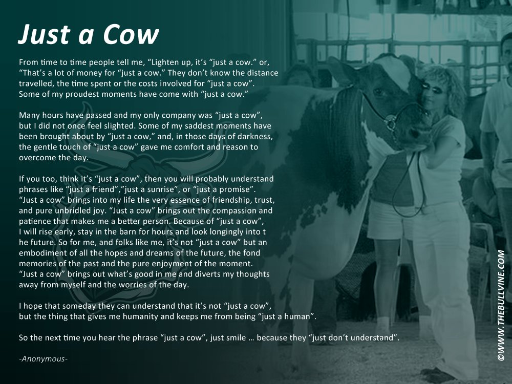 LuckyDay235's tweet photo. My brother likes this poem as it reminds him of Dairy4-H &amp; his love of DairyFarming! #JustACow #4His4me @Thebullvine https://t.co/0sCiAnDTrq