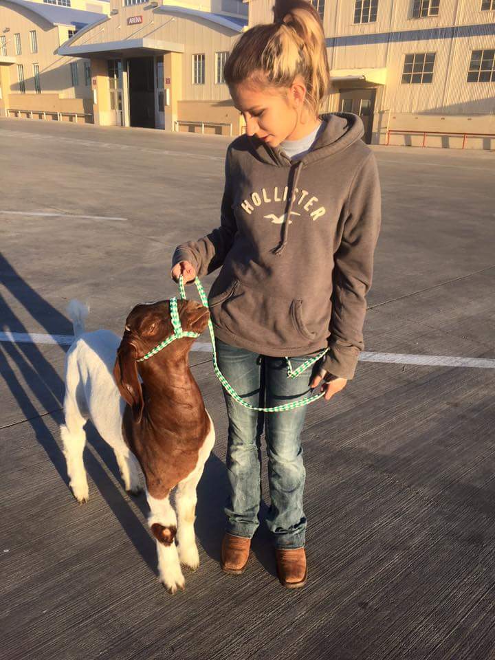 MansfieldFFAlum's tweet photo. #wearemansfield #mansfieldffa #tcjls https://t.co/h1OFcgqZD9
