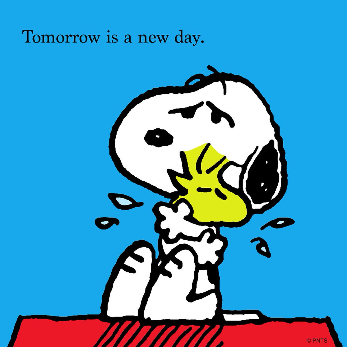 Tomorrow is a new day