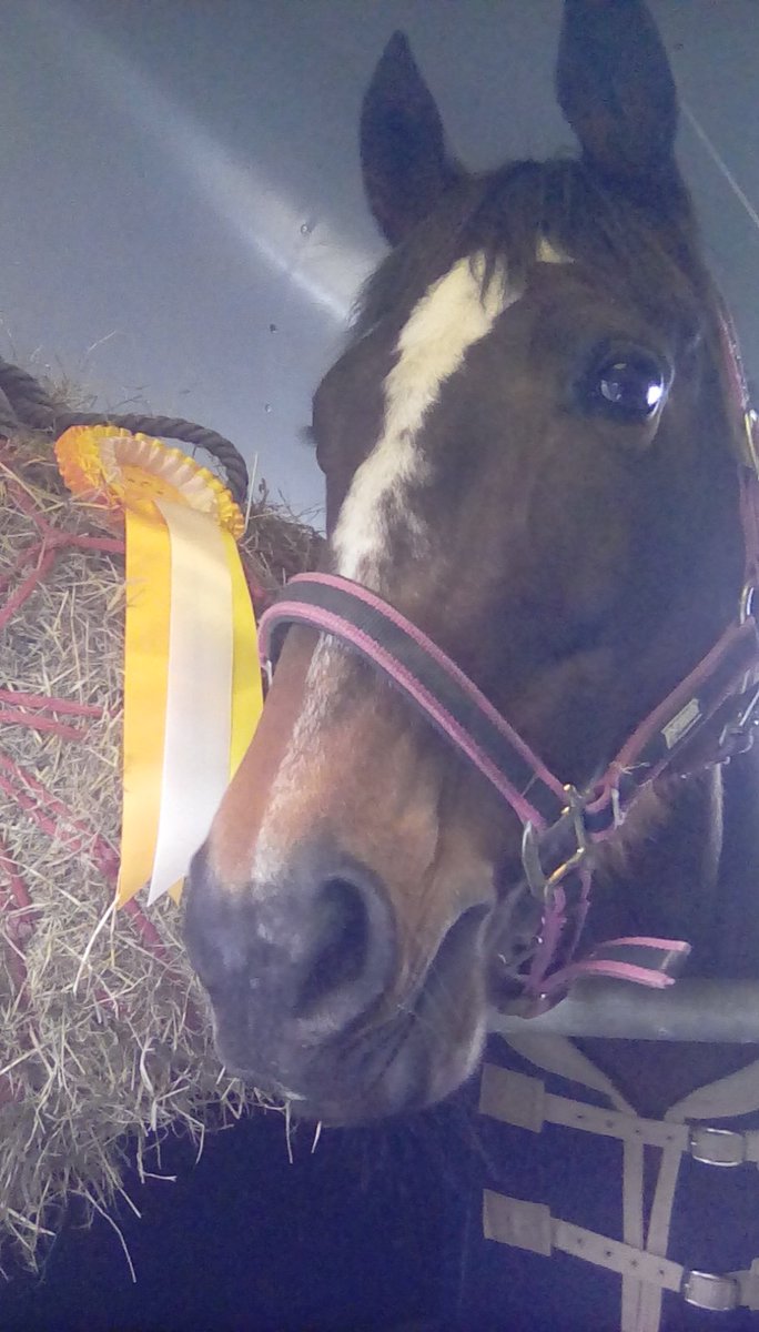 SWShowjumping's tweet image. Georgie jumped clear in her first British show jumping NEWCOMERS and 3rd in the 1,05m. She's awesome bitless #inlove