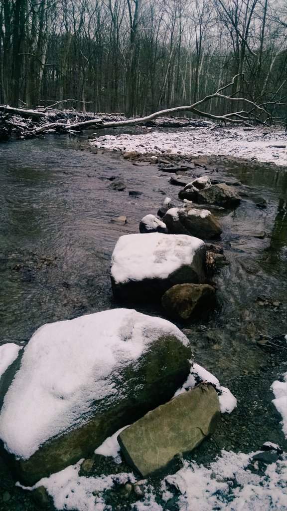 MosesCLE's tweet photo. #SomedayisToday #Cancerendswithme @LLSNorthernOhio @LLSusa @teamintraining #trailrunning
https://t.co/xFeZ8e03KE https://t.co/tTZi5vRtib