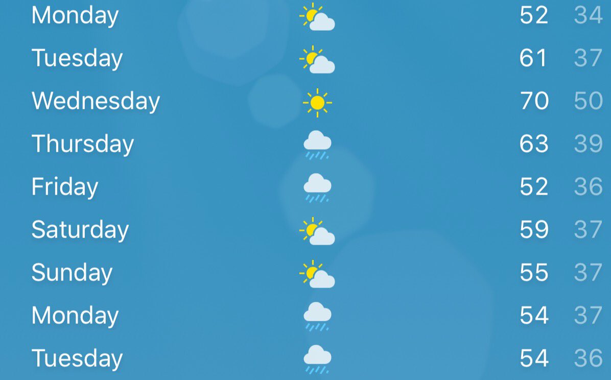 QueenBeeNurse's tweet photo. Don't even care about the rain, this week looks incredible 😍 https://t.co/bzaSb5yr8K