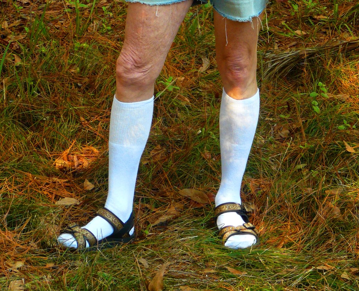 delvelife's tweet photo. "You rock those socks and sandals!" -No One Ever. 
Don't wear socks and sandals #factbomb #delvelife https://t.co/jIidMiA7DL