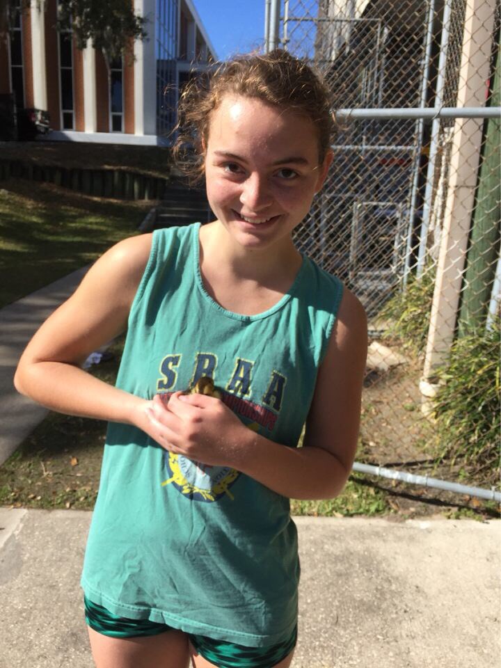 RowTTC's tweet photo. TTC Wildlife Rescue! We saved this little ducky this morning from under the dock. Welcome our new mascot Sebastian! https://t.co/AMWlcfb3HD