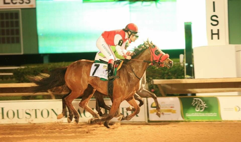 jomason90's tweet photo. A v close finish at Sam Houston racetrack on the Arabs, 3 way, I came out 2nd. Amazing experience #lovedit @amajox https://t.co/D67ona1rlv