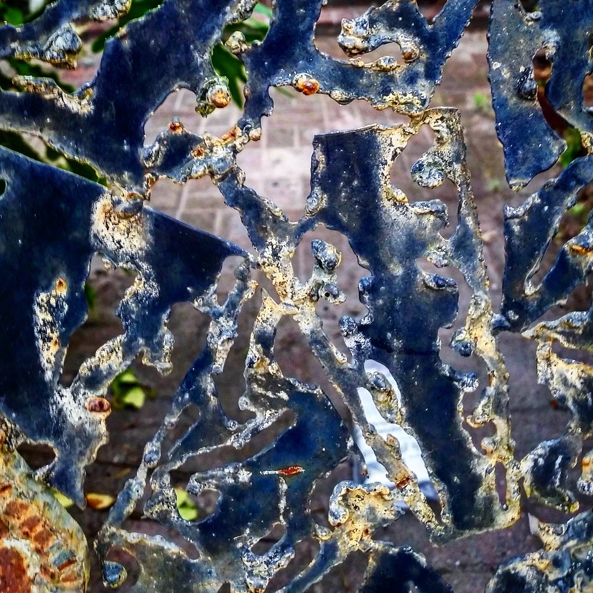 _TheMoMo's tweet photo. Texture of the day
#texture #textureoftheday #design #decor #pattern #rust #art #texturebing #blue #themomo https://t.co/kRlEXrCtXl