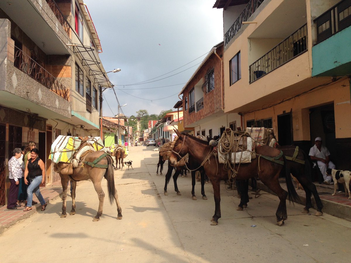 John Jairo Arias Loz (AriasLoa) Twitter