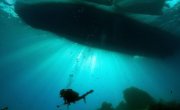HALObarrier's tweet photo. Scuba diver sucked into water intake at nuclear power plant.  https://t.co/uJTDBCiTRb https://t.co/k68wnJ44pX