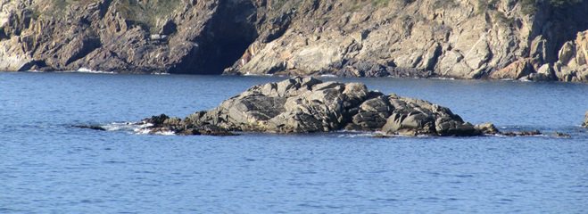 Cami_Ronda's tweet photo. Hoy llegamos hasta el Frare, formación rocosa de Palamós delante de la Cala S'Alguer Petit
https://t.co/IRSkPT2yAh https://t.co/0YH6MoCiKC