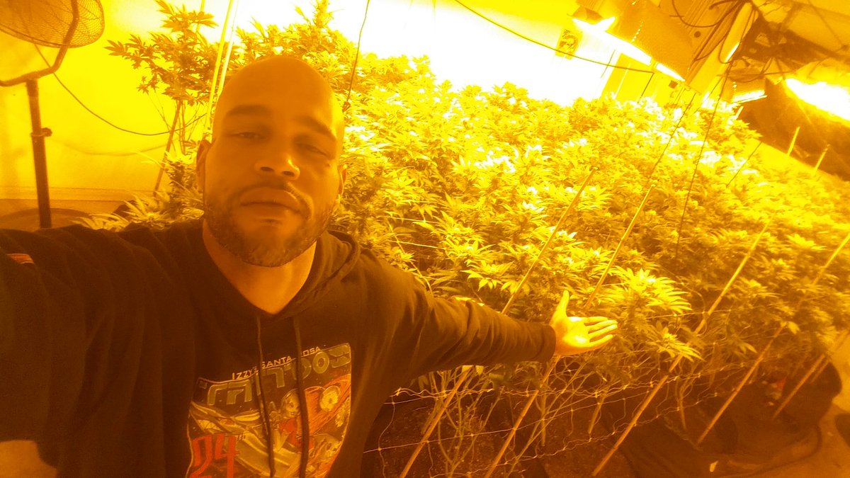 GoodHerbPodcast's tweet photo. #Cherrycheeks707.com #transparentfarming #theTruth #clones @Gobigglobal #springtime https://t.co/alpOUAgDfV