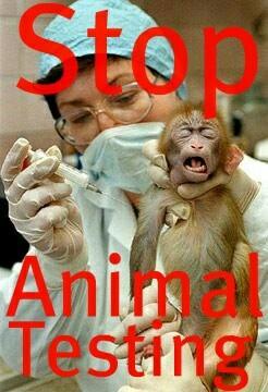 stopcruelty1's tweet photo. https://t.co/G5uhSBRj7T