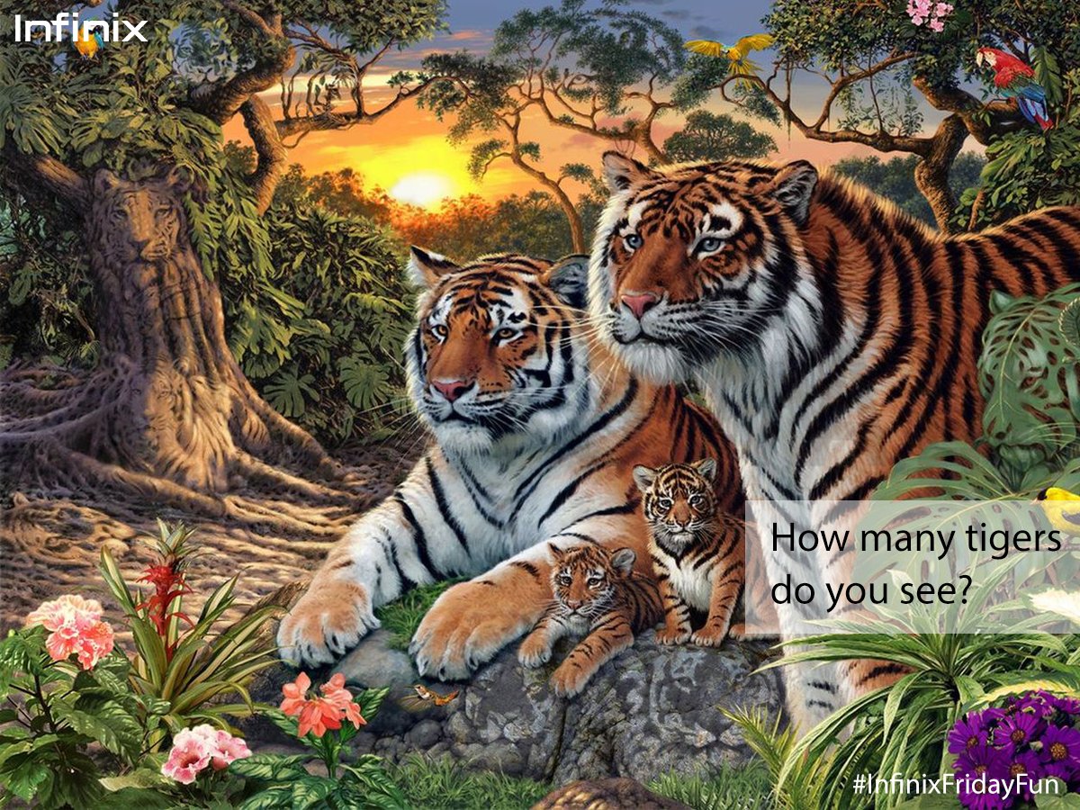 InfinixUAE's tweet photo. كم نمر تري في هذه الصورة؟
How many tigers do you see in this picture? #InfinixFun https://t.co/V3DXtXg2xr