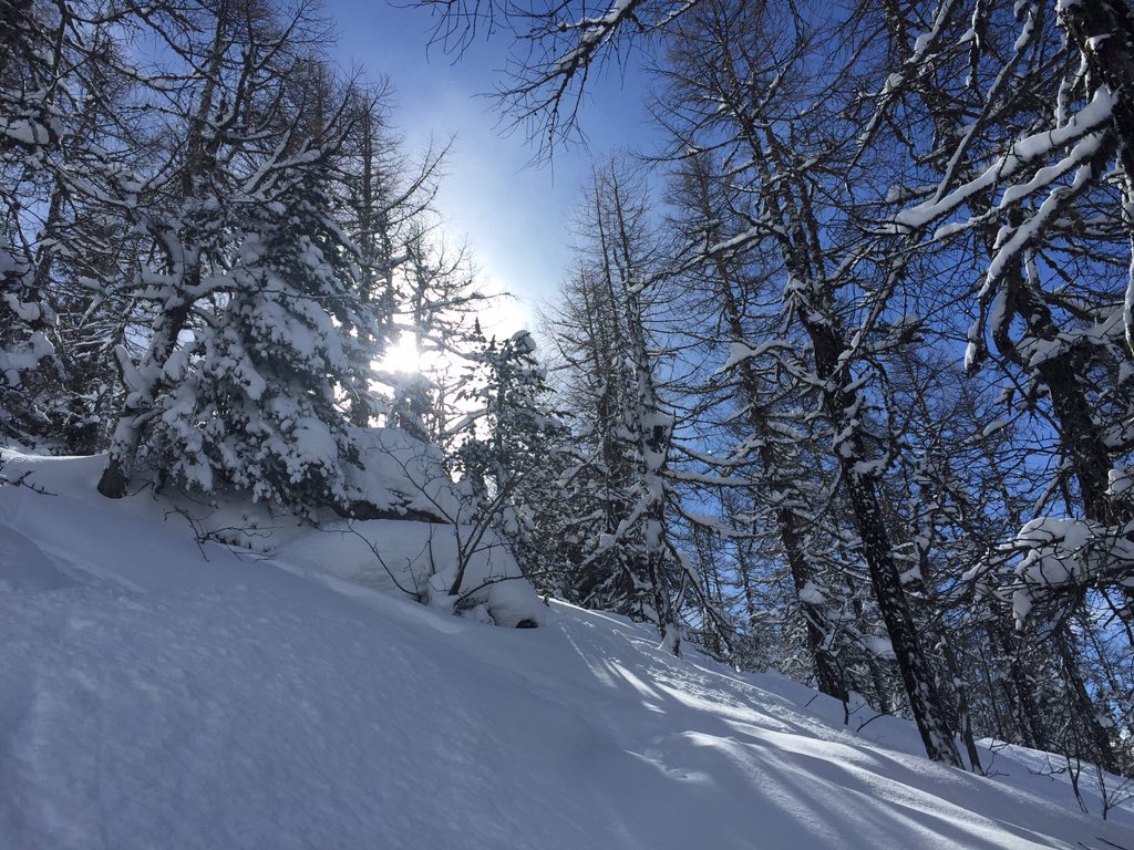 ChaletsChamonix's tweet photo. @Ski_Press Beautiful dreams in Chamonix powder #chamonixchalets https://t.co/IPTK67prHX https://t.co/tLyKwLRCpE