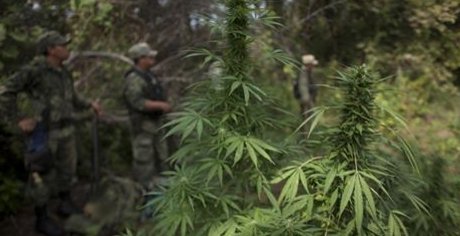 COGreenStop's tweet photo. Legal Marijuana is taking a bite out of crime! https://t.co/BruzgHm9tn
#GreenStop #COGreenStop #GSWeedCrew https://t.co/5EFq4hlHkX