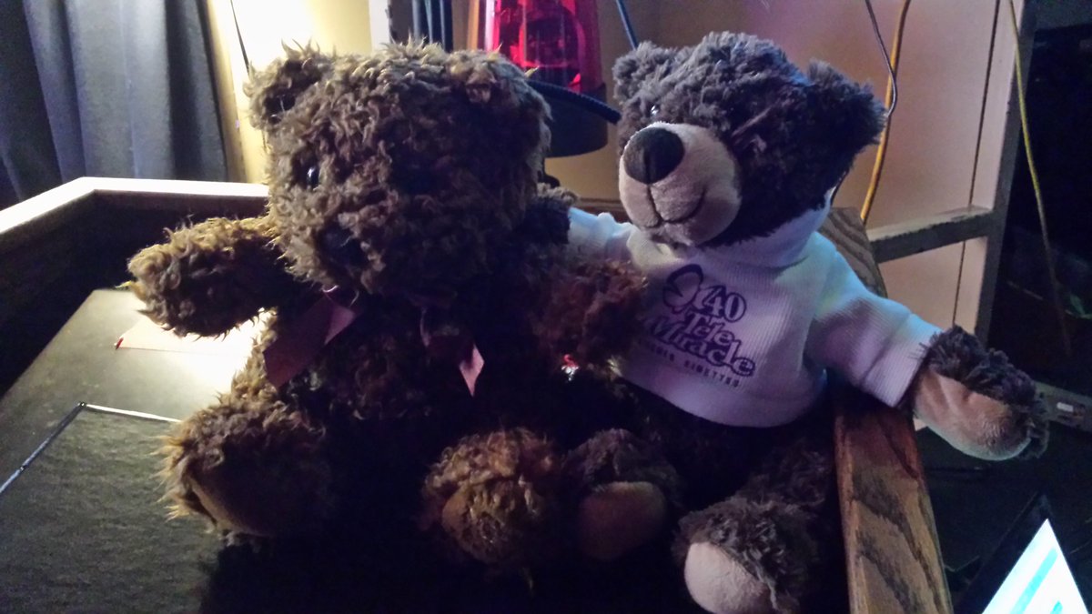 saskryan's tweet photo. This years @Telemiracle donation bear with his 16-year-old brother #TM40 #TM2000 https://t.co/E624eJXkas