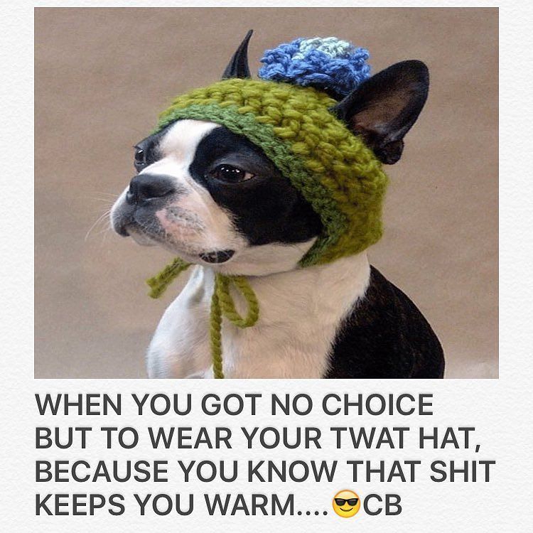NoMe_Simpatizas's tweet photo. #comedymemes #comedyboxed #likeforfollow #likesforlikes #adulthumour #meme #memeposts1 #memesdaily #like4like #like… https://t.co/zns9x258dq