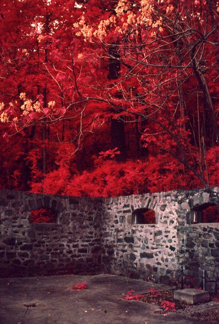 Saucy_Images's tweet photo. Archive: Fairy Fort Series #009, 2009  #kodakEir #colorinfrared #filmphotography https://t.co/Vn4Pmuhi14