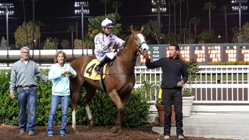 OverniteCapital's tweet photo. WIthout a doubt, rider @cdajock is top Quarter Horse racing jock at @losalracing this meet. https://t.co/Dr75OuJYsM https://t.co/BRkW4xZ2fJ