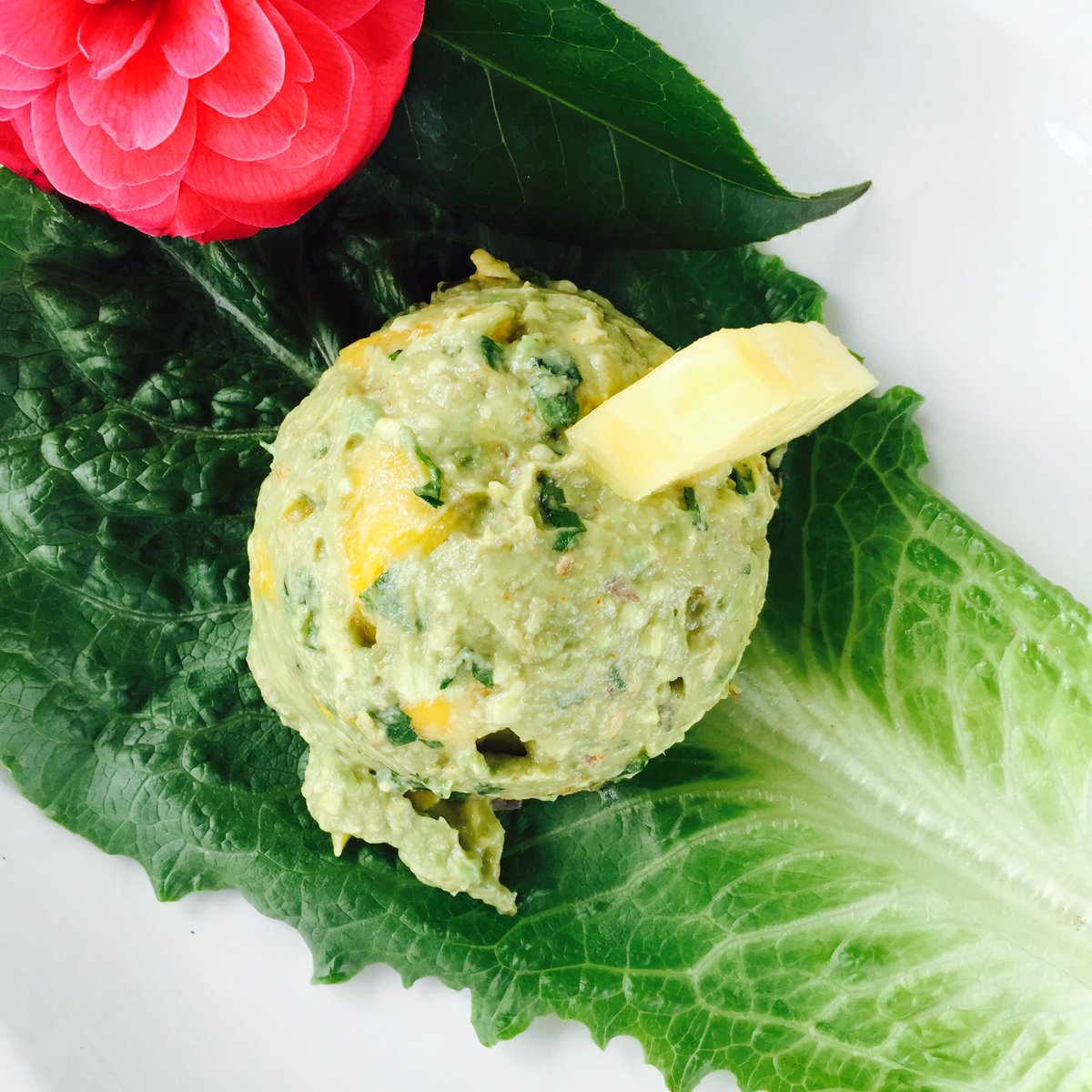 thegreencatva's tweet photo. Come get your guac on with us today until 5! #mango #guacamole #goodvibesrollin https://t.co/L6WLRFsA3f