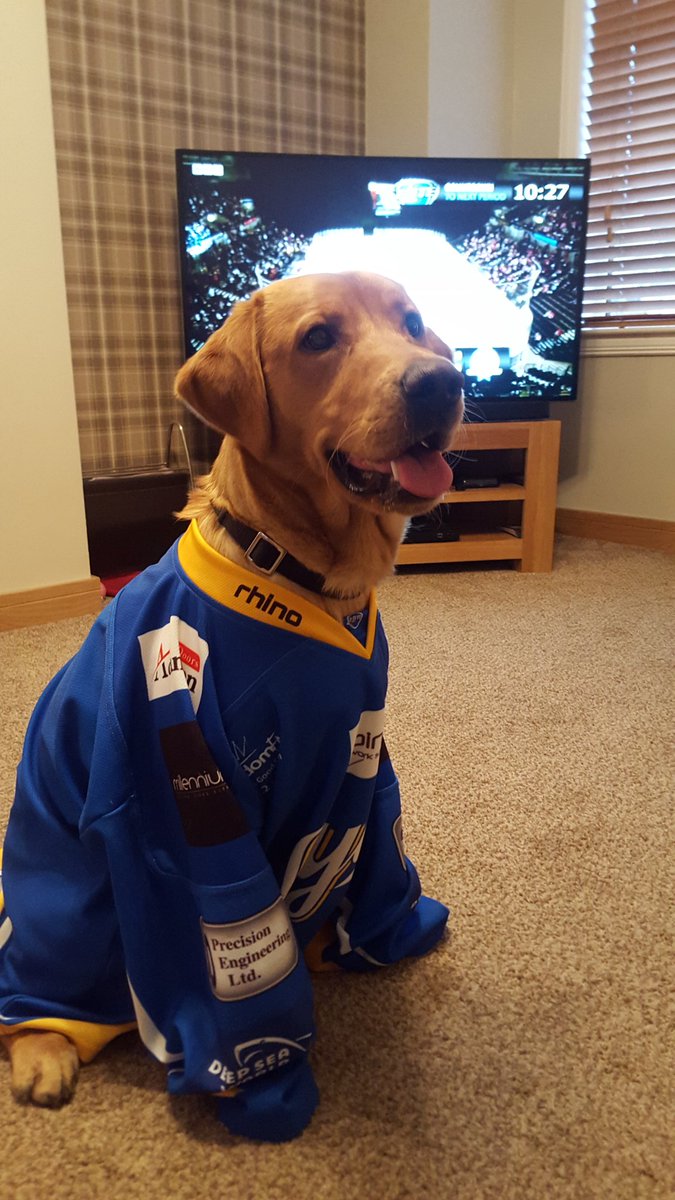 774lesley's tweet photo. @FifeFlyers Brodie supporting Flyers from home - following Storm v Flyers on Twitter and CC Final on the TV https://t.co/iCgcsyR7Lc